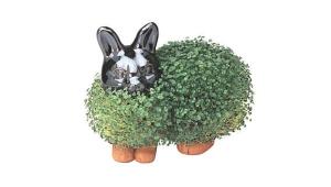 Chia-Pet-Bunny